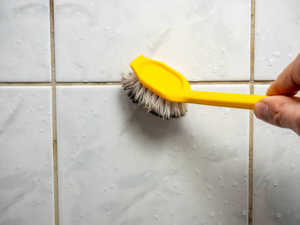  South San Francisco, CA Mold Removal Pros