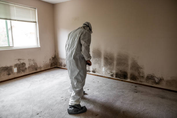 Water Damage Restoration in South San Francisco, CA